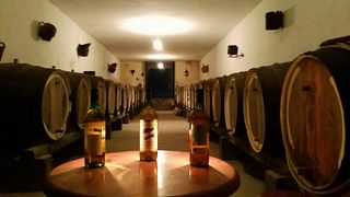 Visite de vignobles et dégustation de vins à Bodega San Juan