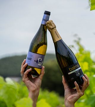 Exklusiv provsmaknings- och vingårdstur på Mas Bertran