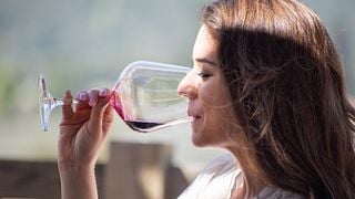 Tour della cantina Tanagra e degustazione di vini