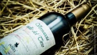 Degustación premium en Azienda Vinicola Vernaccia F.Lli Serra