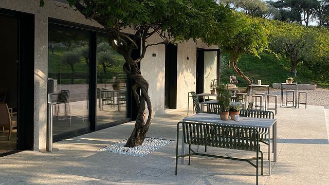 Prosecco-Spaß: Weinprobe und Tour im Weingut Tenuta Baron