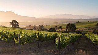Boachkloof Wines