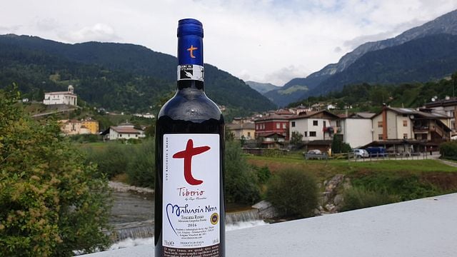Degustazione e tour di vini a Tiberio