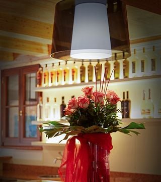  Dégustation de vins au relais viticole Borgo Romantico et visite des vignobles biologiques