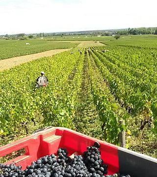 Domaine des Terres De Velle