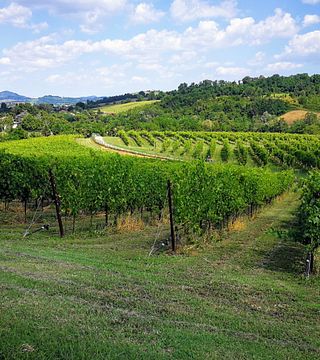 Dégustation de vins haut de gamme à Tenuta La Riva