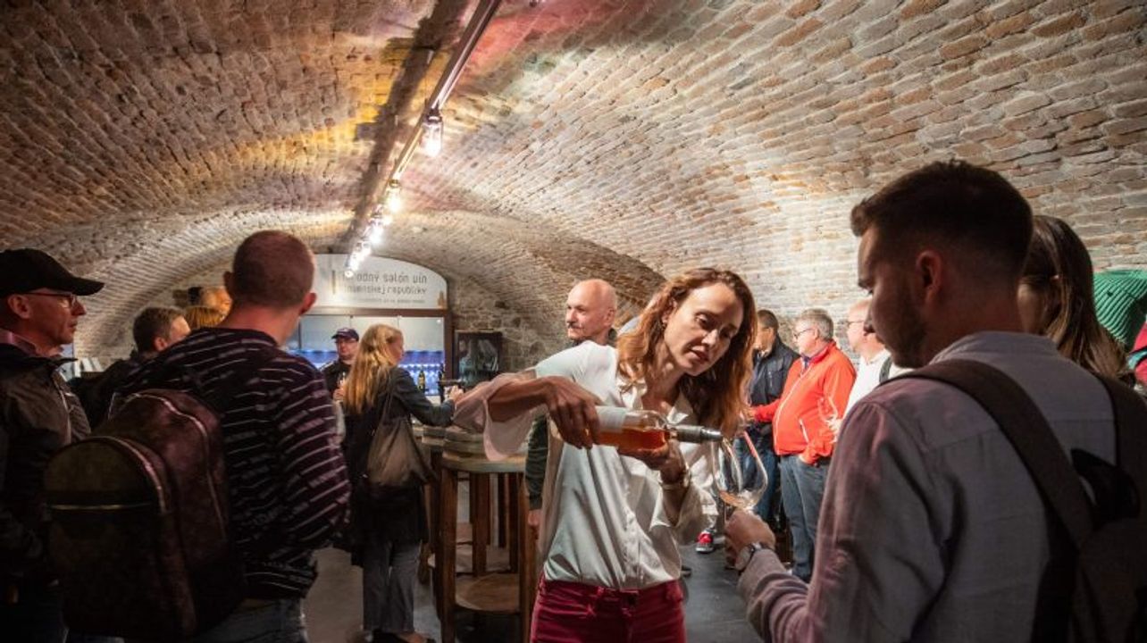 Wine Tasting with Sommelier in Bratislava