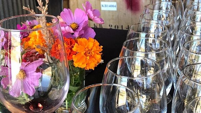 Cata de vinos y visita a los viñedos Sutcliffe