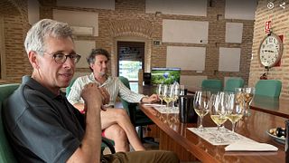 Excursão pelos vinhos brancos de Rueda com almoço em restaurante com estrela Michelin saindo de Madri.