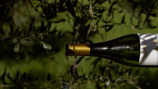 "Amarsi" Società Agricola Semplice