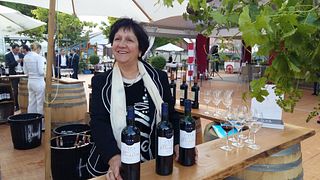 Degustazione di vini e visita allo Château Vieux Robin