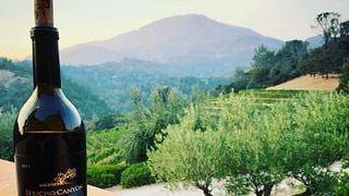 Jericho Canyon Vineyard