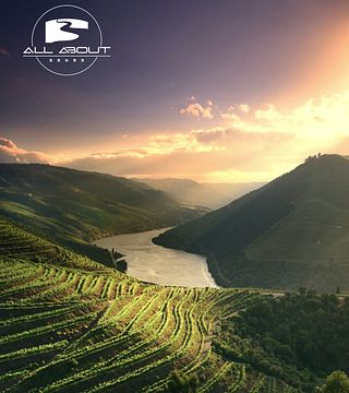 Passeio privado de dia inteiro no Vale do Douro: degustação de vinhos, almoço e passeios turísticos