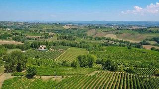 San Gimignano: alla scoperta del vino fatto con passione e premiato a livello internazionale presso Tenuta le Calcinaie  
