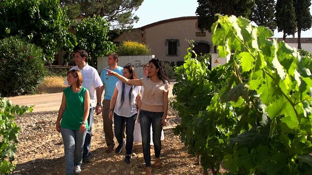 Scopri Oriol Rossell a Cava Oriol Rossell