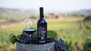 Taste Sardinian Wines in a Natural Vineyard Setting