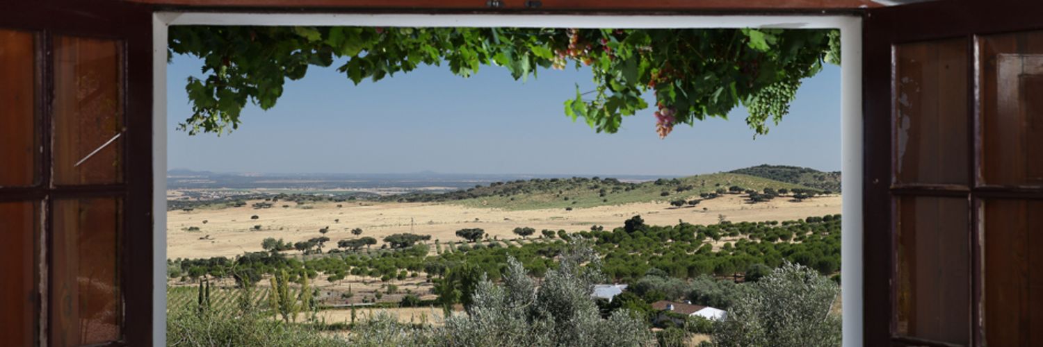 View From The Sala