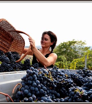 Vinprovning och rundtur på Bruscia Vini