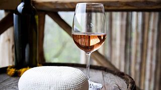 Cata de vinos y recorrido en Marani de Ucha Macharashvili