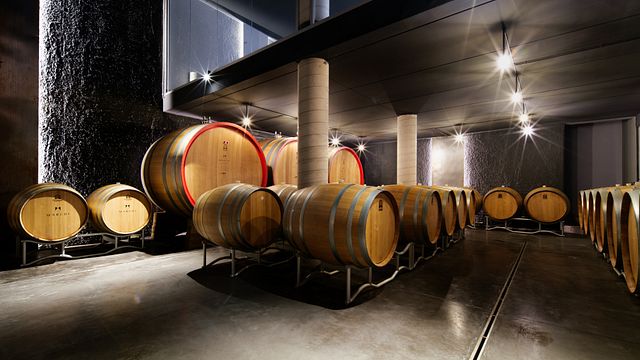 Weingutbesichtigung und Valpolicella-Weinprobe in der Cantina Marchi