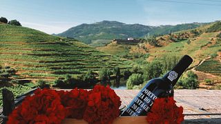 Cata de vino de Oporto Tawny en Quinta Do Tedo