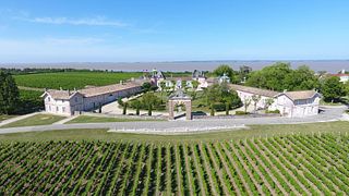 Piquenique no vinhedo do Château Loudenne