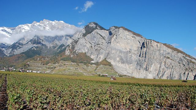 René Favre & Fils Petite Arvine