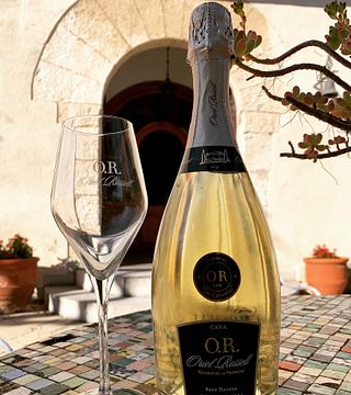 Weinprobe und Tour bei Cava Oriol Rossell