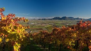 Weinbergtour und Weinprobe mit passenden Vorspeisen bei Ca' Bruzzo Family Vineyards