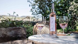 Degustazione di vini popolare nei vigneti di Turkey Flat