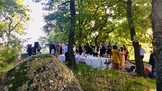 Rundtur och provsmakning Deluxe 3 viner Grand Crew
