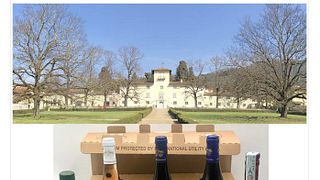 Vinprovning och rundtur på Marchesi Pancrazi