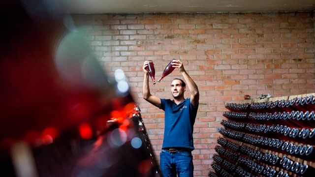 Dégustation de vins au Burkheimer Winzer Am Kaiserstuhl Eg
