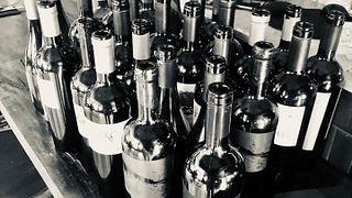 Cata de vinos y visita guiada a la bodega Fanoa