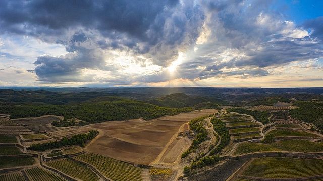 Degustazione di vini e visita presso Altavins Viticultors