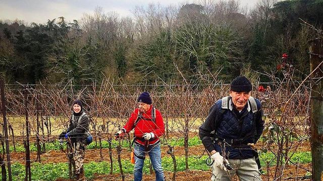 Poggio al Bosco Winery