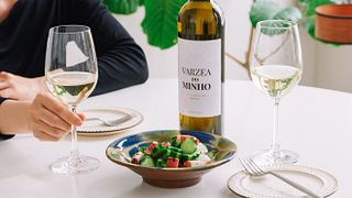 Degustazione di vini e tour a Vinhos Norte