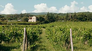 Degustazione del terroir