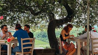 Weintour und leichtes Mittagessen bei Cosimo Maria Masini