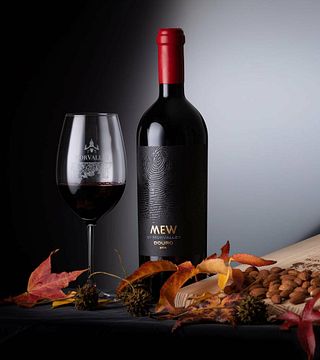Dégustation et visite de vins chez Morvalley Douro Wines
