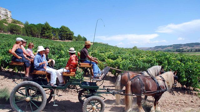 Bodegas Comenge