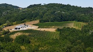 Degustação de vinhos na Agricola Bellaria