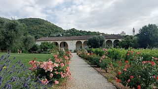 Alla Scoperta dei Colli Berici | Weindegustation in der Cantina Pegoraro
