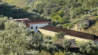 Programma per gli amanti del vino a Quinta do Infantado