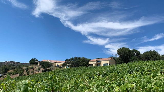 Degustação de vinhos na Vinícola Lobo