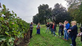 Visita - degustazione al Château Sainte Barbe