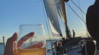 Degustazione di vini e tour presso l'azienda vinicola T-Vine