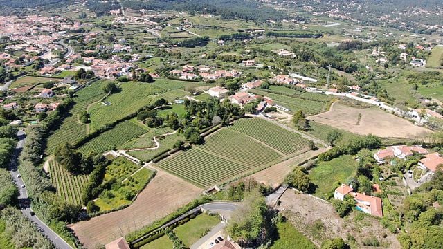 Tour del vino premium e degustazione CSM