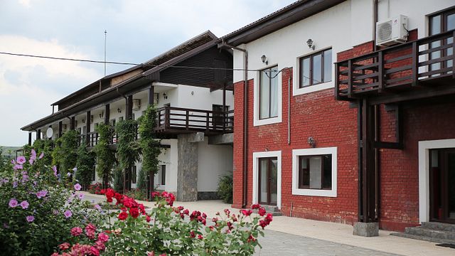 Weinprobe und Weinguttour im Domeniile Sahateni