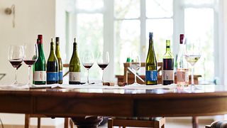 Cata de vinos con almuerzo en Weingut Lämmlin-Schindler
